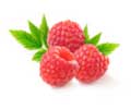 Printable Chinese Flashcards PDF | Fruit in Chinese